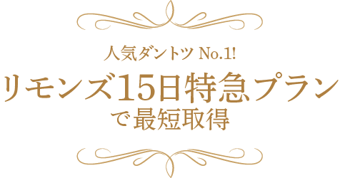 約15日特急ハイクラスプラン